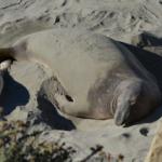 Cambria_0234 (November 04, 2012)